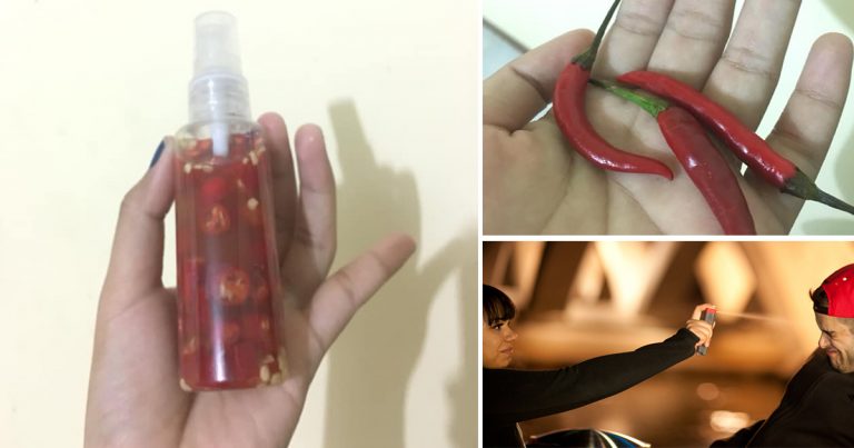 DIY Pepper Spray Untuk Lindungi Wanita Dari Tindakan Penjenayah. Wajib Bawa Dalam Handbag