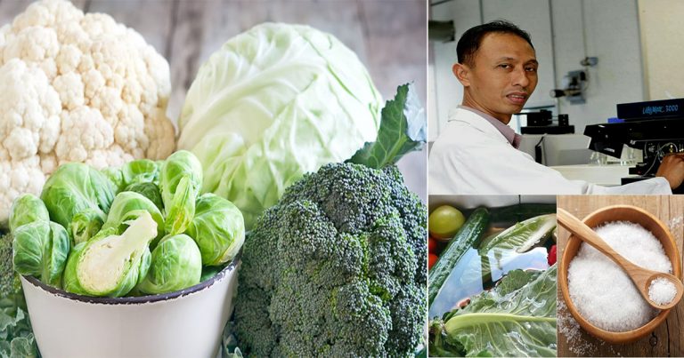 Ketahui Jenis Sayuran Antikanser Wajib Kita Amal & Teknik Basuh Sayur Untuk Buang Racun