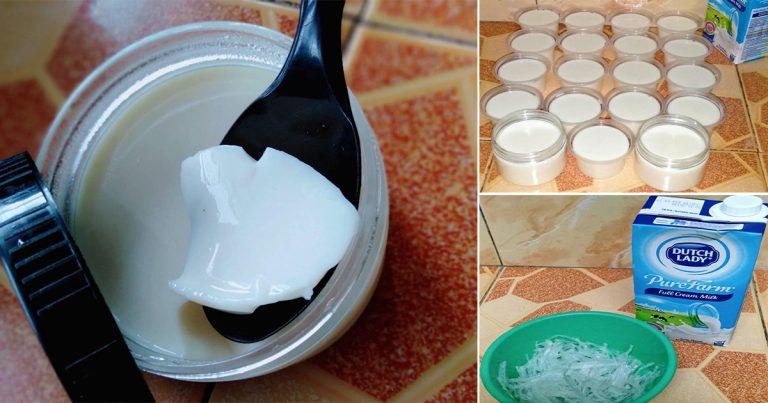 Cara Buat Dadih Guna Susu Full Cream, Lebih Berkhasiat Untuk Anak