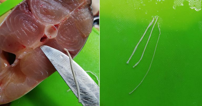 Petua Elak Bau Hanyir Bila Masak Ikan Sungai, Cari & Buang ‘Urat’ Ini Dulu