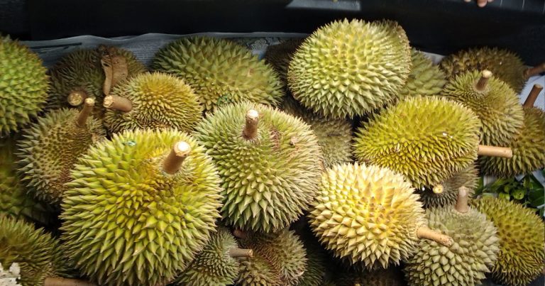 9 Petua Hilangkan Segera Bau Durian Yang ‘Menyegat’ Dalam Kereta