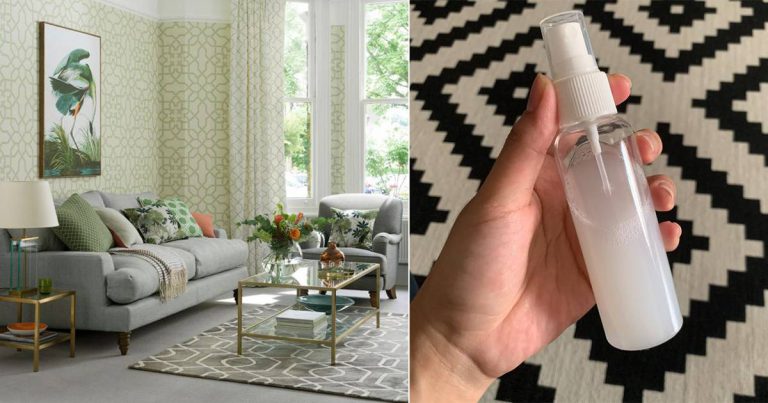 Campur 2 Bahan Ini Buat Spray, Satu Rumah Bau Wangi