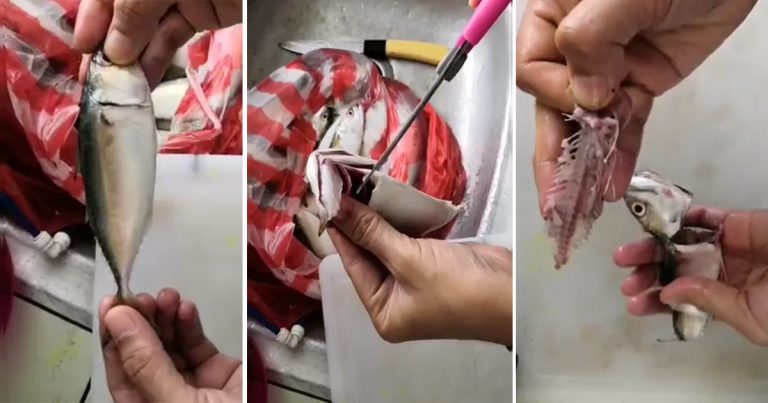 Teknik Buang Tulang Ikan, Sekali Tarik Semua Tulang Keluar. Barulah Senang Nak Makan