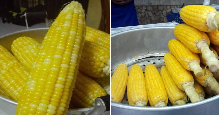 Tip Rebus Jagung Supaya Jagung Kekal Lembut, Tak Kecut, Masak Cantik. Letak Garam Waktu Ini