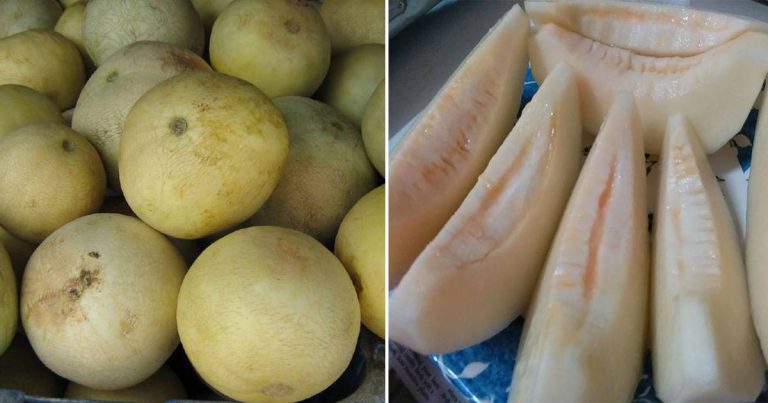 6 Tip Pilih Buah Tembikai Susu Yang Manis & Juicy, Tengok Kulit Saja Dah Tau!