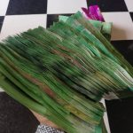 101548703_884511865360403_1102445021719691264_o