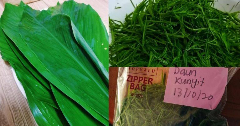 Tip Simpan Daun Kunyit Tak Jadi Kuning, Kekal Segar & Tahan Berminggu-Minggu
