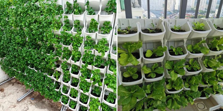 Kalau Duduk Apartment Atau Flat, Boleh Guna Idea Vertical Pots Ini Bercucuk Tanam. Boleh Tanam Sampai 30 Pokok!