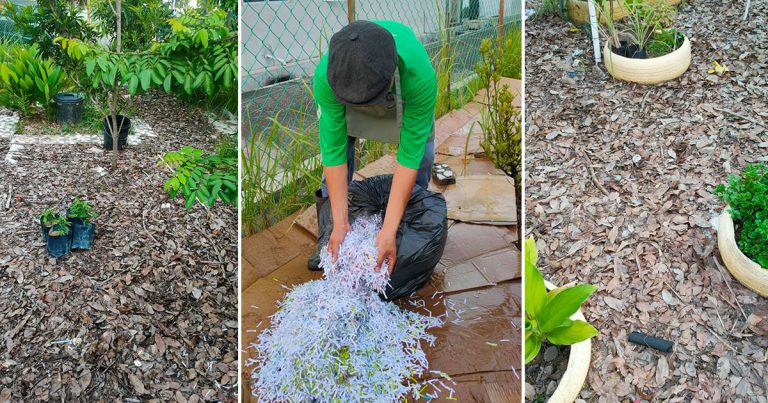Teknik Elak Rumput & Lalang Tumbuh Guna Kotak & Kertas. Cara Dikongsi Lelaki Ini Memang Jimat Masa, Tenaga & Duit