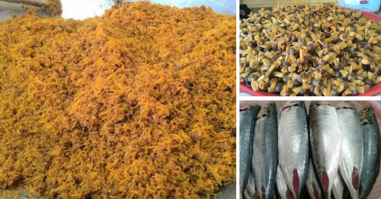 Cara Buat Serunding Ikan, Boleh Buat Sendiri Popia Simpul Untuk Makan Waktu Duduk Rumah