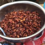 18671187_957544154348707_3001423849580021189_n