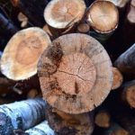 956744-iGU2yA-480×360