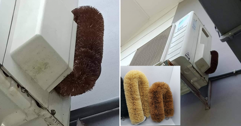Letak Berus Sabut, Tip Elak Tikus Gigit Wayar!