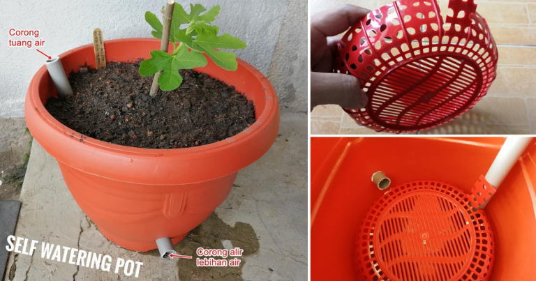 Buat Sendiri Self Watering Pot, Mudah Tak Perlu  Siram Tanaman Lagi