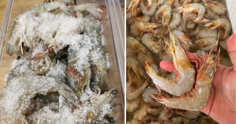 Tip Simpan Udang Supaya Kekal Segar, Manis & Pejal Macam Baru Beli
