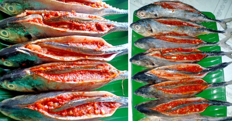 Ikan Cencaru Sumbat Pun Boleh Frozen, Stok Lauk Mudah. Ikut Tip Ini Kalau Tak Nak Sambal Terkeluar