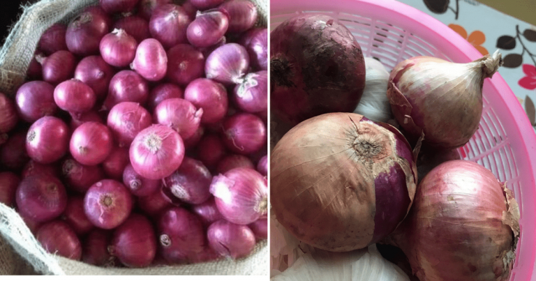Tip Simpan Bawang Kalau Beli Banyak Supaya Tahan Lama, Tak Cepat Busuk
