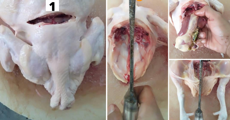 Potong Sendiri Ayam, Peniaga Ayam Tunjuk Caranya