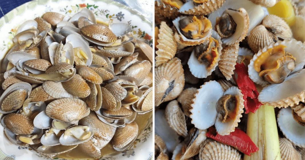 Rendam Kerang & Lala Dengan Bahan Dapur Ini Supaya Pasir Keluar & Mudah Terbuka Vanilla Kismis