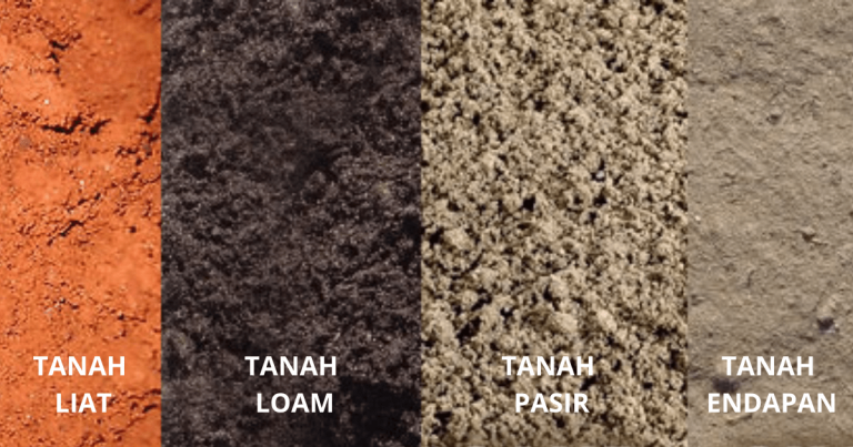 6 Jenis Tanah Perlu Kita Tahu Sebelum Tanam Pokok Sayur & Buah Sekitar Rumah