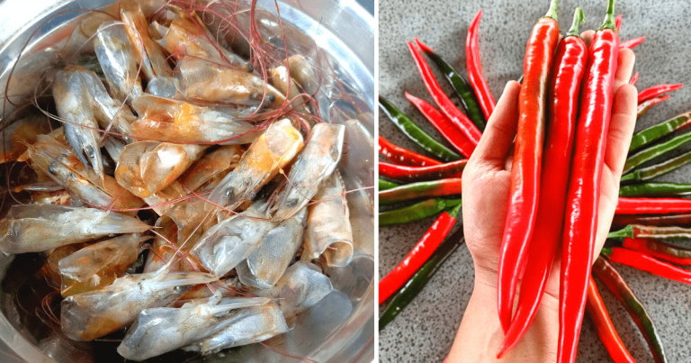 Kepala & Kulit Udang Jangan Buang, Boleh Buat Baja ‘Power’ Untuk Tanaman