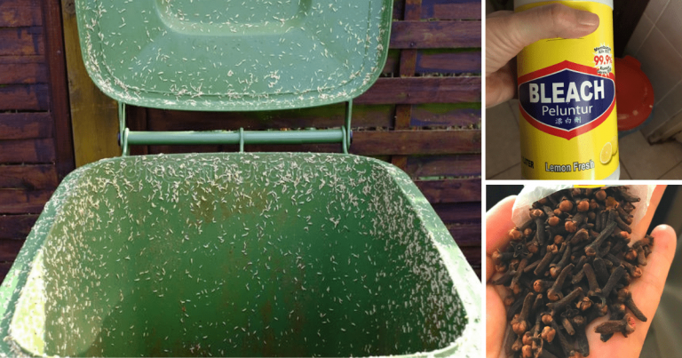 Tong Sampah Penuh Dihurung Ulat Sampah, Guna 5 Cara Ini Untuk Hapuskannya