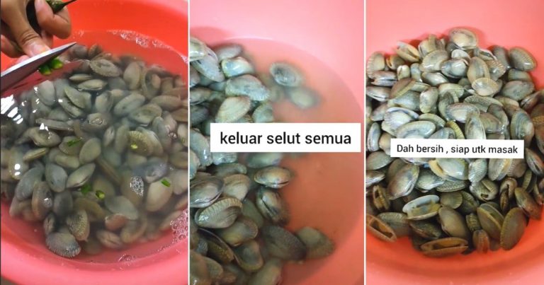 Bersihkan Lala Guna Cili Padi Lagi Senang. Keluar Semua Selut & Cengkerang Pun Terbuka, Mudah Nak Makan