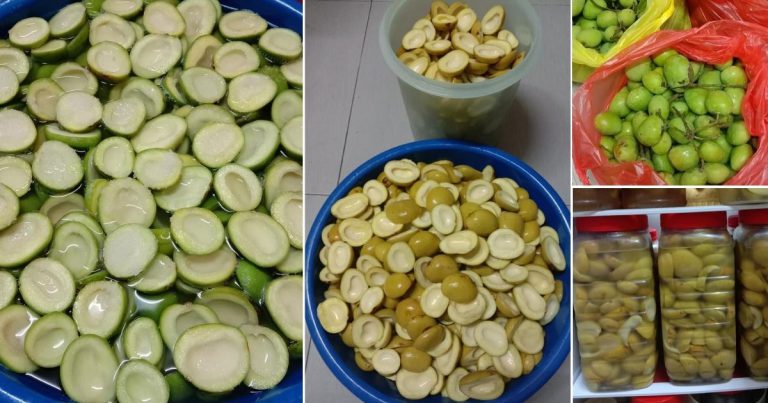 Step By Step Buat Sendiri Jeruk Pauh Untuk Makan Sendiri Atau Jual