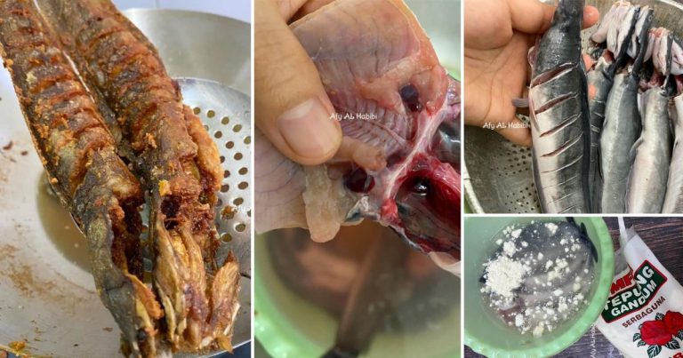 Cara Bersihkan Ikan Keli Supaya Tak Hanyir & Tip Goreng Tak Meletup Serta Rangup