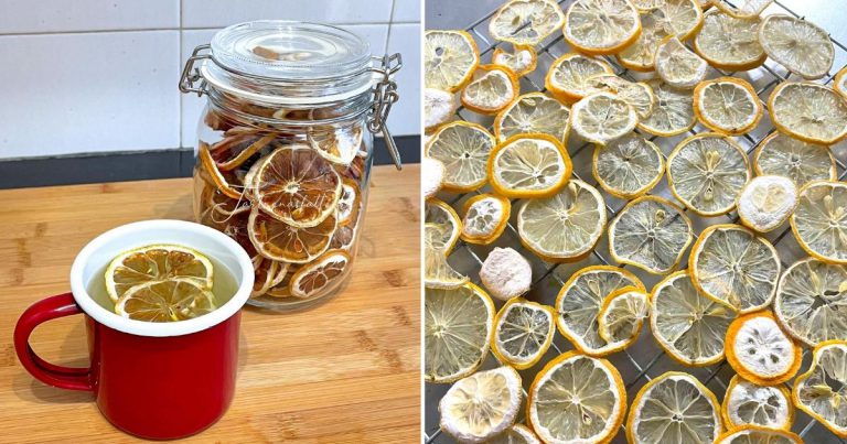 DIY Lemon Kering, Cara Elak Lemon Busuk Kalau Beli Banyak. Nak Minum Rendam Saja