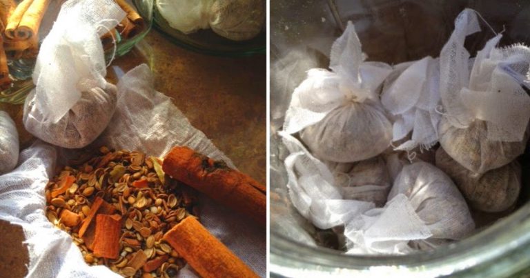 Buat Sendiri Sup Bunjut. Bahan Memang Dah Ada Di Dapur Rumah Kita