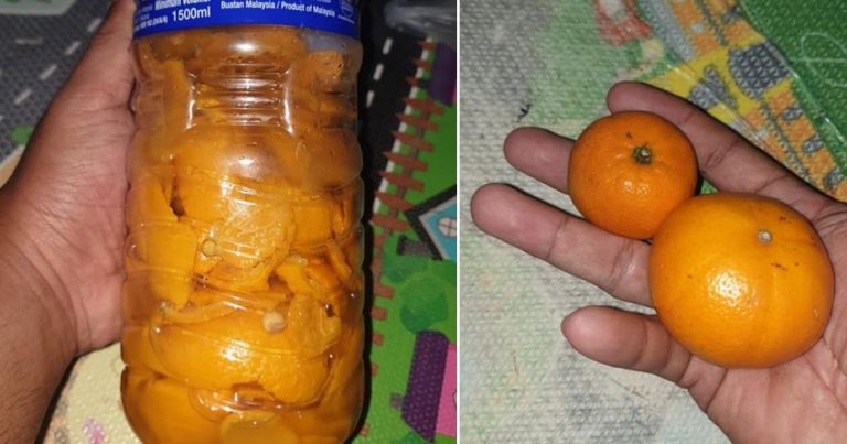 Kulit Limau Masam Jangan Buang, Boleh Buat Racun Organik. Berkesan Untuk Hapus Serangga Perosak Tanaman