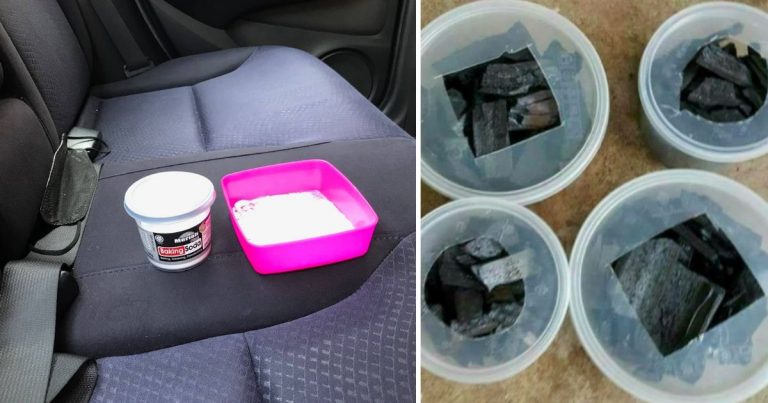 3 Cara Berkesan & Murah Hilangkan Bau Hapak Dalam Kereta