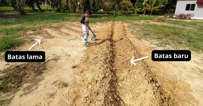 Tip Buat Batas Untuk Tanaman, Sebelum Cangkul Tanah Perhati Dulu Matahari Terbit & Terbenam