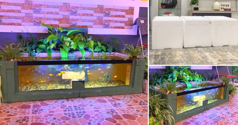 Buat Sendiri Akuarium Bajet Guna Kotak Gabus Saja, Kukuh & Tahan Lasak Juga