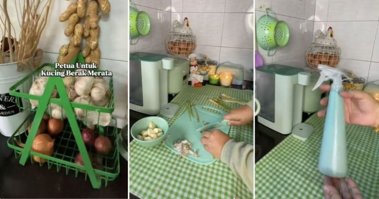 Cara Elak Kucing Datang & “Membuang” Sekitar Rumah, Kisar 2 Bahan Ini & Sembur