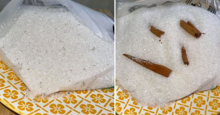 Cara Mudah Keluarkan Semut Yang Penuh Dalam Bekas Gula, Sejam Hilang Semua