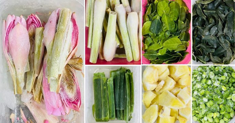 Segala Jenis Daun Termasuk Bunga Kantan, Halia, Serai Semuanya Boleh Frozen. Setahun Pun Elok Lagi