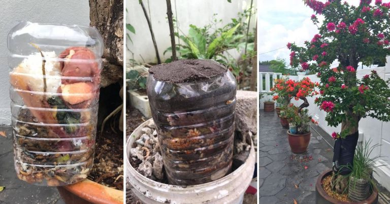 Kulit Sayur Atau Sisa Dapur Masuk Dalam Botol Minyak, Cara Mudah Buat Baja Kompos. Lagi Elok Benam Tepi Pokok