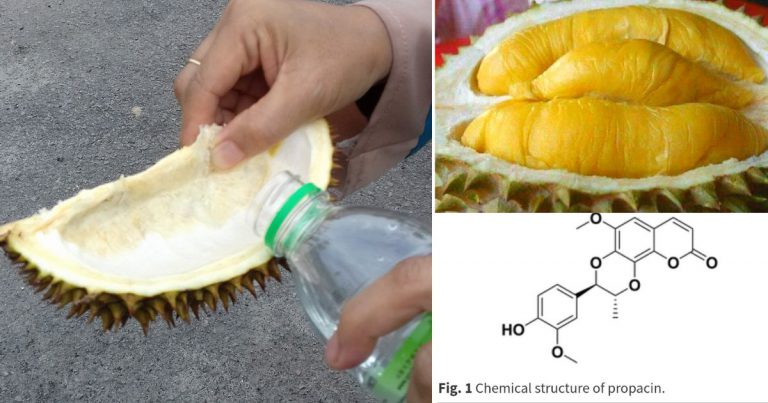 Doktor Beri Penjelasan Kenapa Kita Memang Kena Minum Air Pangsa Lepas Makan Durian