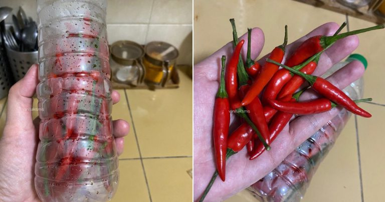 Guna Botol, Kaedah Simpan Cili Tahan Lagi Lama. 8 Bulan Pun Masih Segar