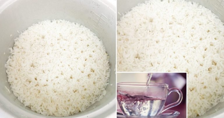 Taktik Nasi Cepat Masak, 5 Minit Dah Boleh Makan