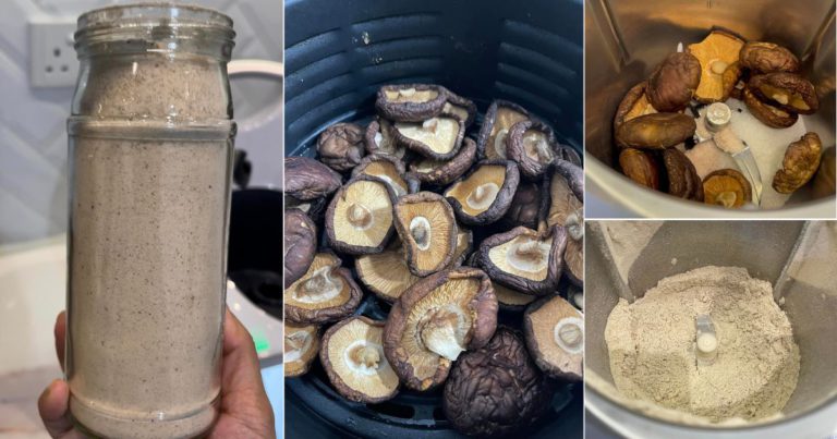Buat Sendiri Mushroom Seasoning, Pengganti Serbuk Perasa. Cuma Perlu 3 Bahan Saja