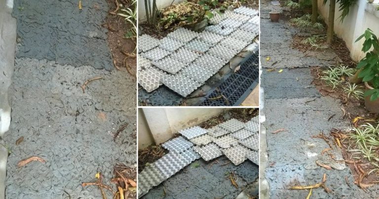 Guna Sarang Telur, Tip Mudah Elak Rumput Tumbuh Di Laman. Setahun Tak Payah Potong