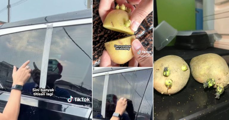 Kentang Bertunas Jangan Buang Boleh Guna Bersihkan Cermin Kereta, Bila Hujan Air Mengalir Laju