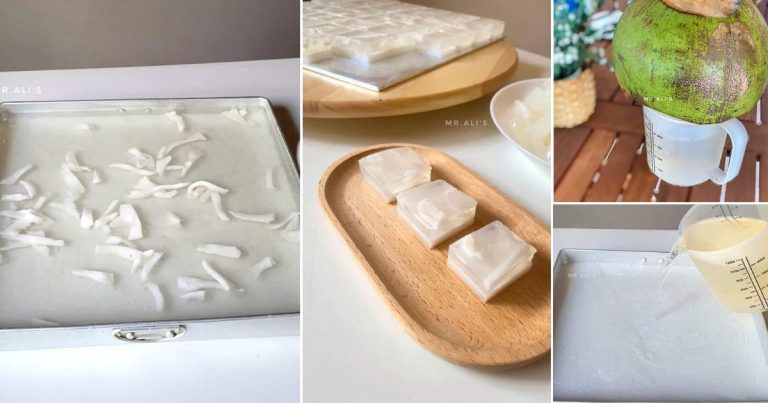 Buat Agar-Agar Kelapa Untuk Buka Puasa, Nikmatnya Bila Lalu Di Tekak
