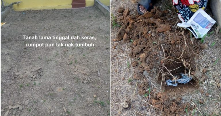Guna Kertas, Kaedah Pulihkan Tanah Yang Dah Keras & Lama Terbiar Sebelum Bercucuk Tanam