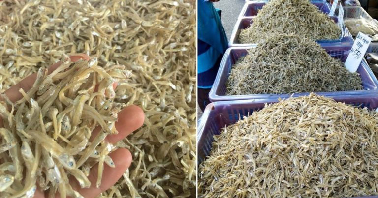 Tip Pilih Ikan Bilis Yang Berkualiti Tinggi & Sedap Bila Digoreng. Paling Mudah Tengok Belang