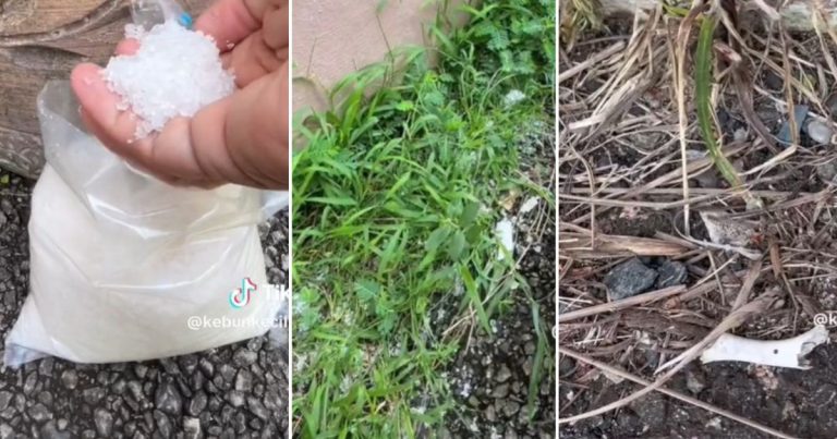 Guna Garam Kasar, Cara Paling Senang ‘Matikan’ Rumput. Sehari Dah Nampak Hasil