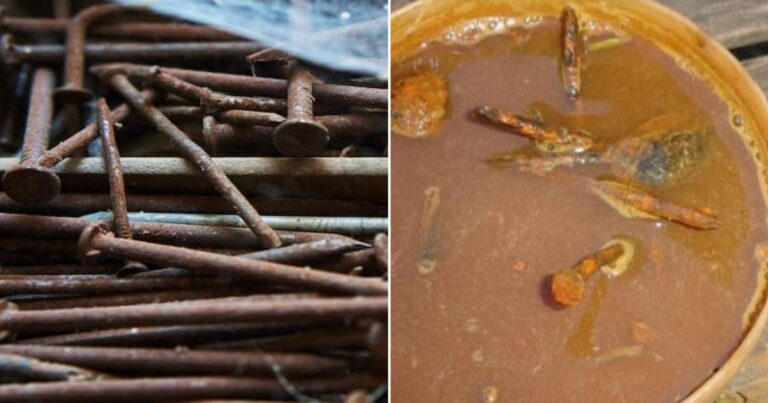 Air Karat Paku Pun Berguna, Boleh Jadi Penyubur Tanaman, Pulihkan Pokok Kurang Zat